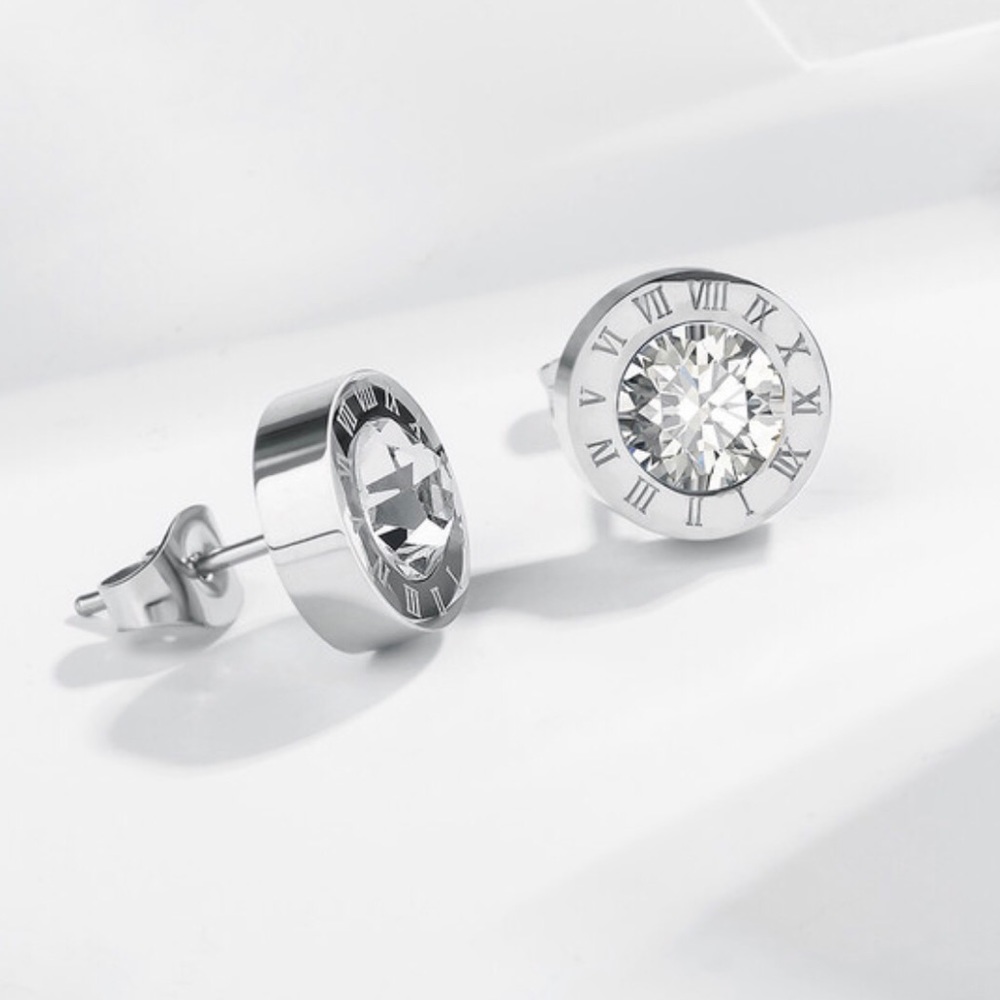 Stainless steel earrings